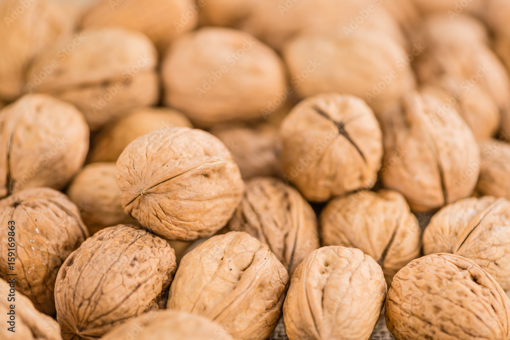 Walnuts (selective focus, close-up shot) Walnuts (selective focus, close-up shot)