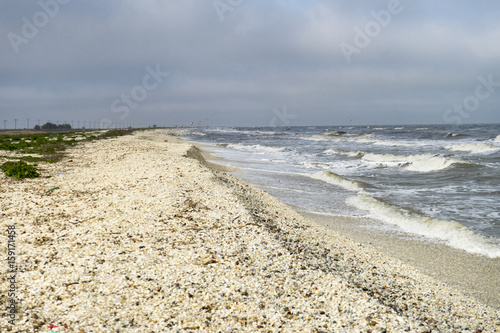 Landscape with sea view  waves and sea shells  clouds  photographed in Gura Porti  ei  Romania  in cloudy spring day