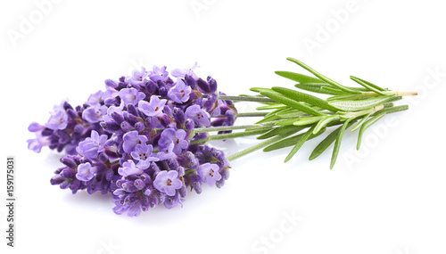 Lavender with leaves