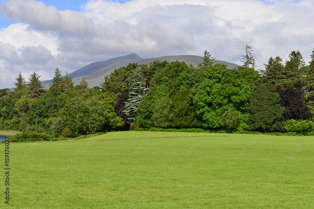 Obraz premium The landscaped gardens at a country home in Ireland. 