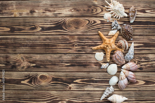 Sea background. Sea shells on a wooden background. Summer still life flat picture