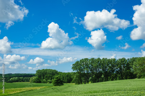 Landschaft mit Bäumen und Wiese