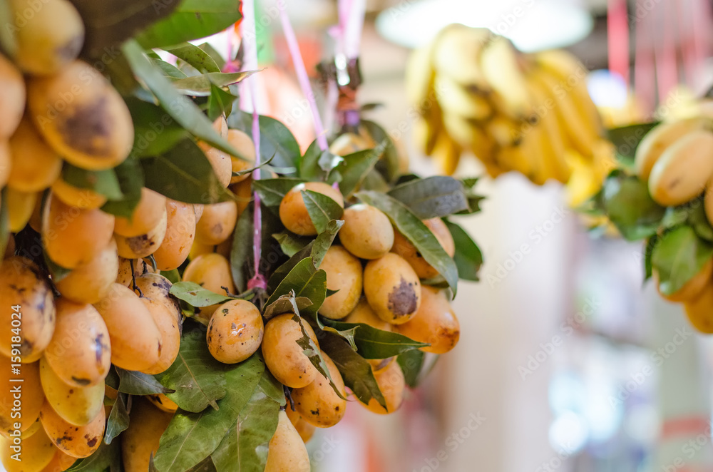 fresh tropical citrus fruit called Marian Plum in the market