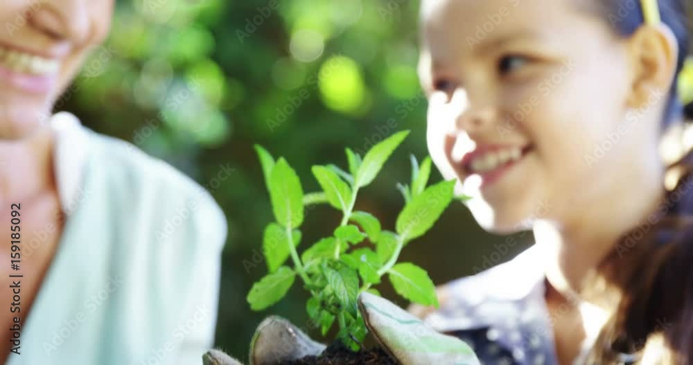 Grandmother and grand daughter holding plant Grandmother and grand daughter holding plant