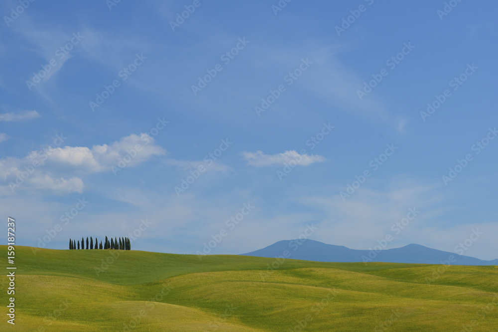 Obraz premium Tuscany landscape at sunrise, Trees, rolling hills and meadows, countryside landscape, Volterra, Italy, Europe.