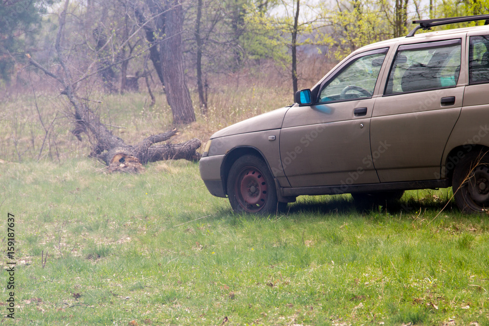 Car parked on the grass near a forest Car parked on the grass near a forest