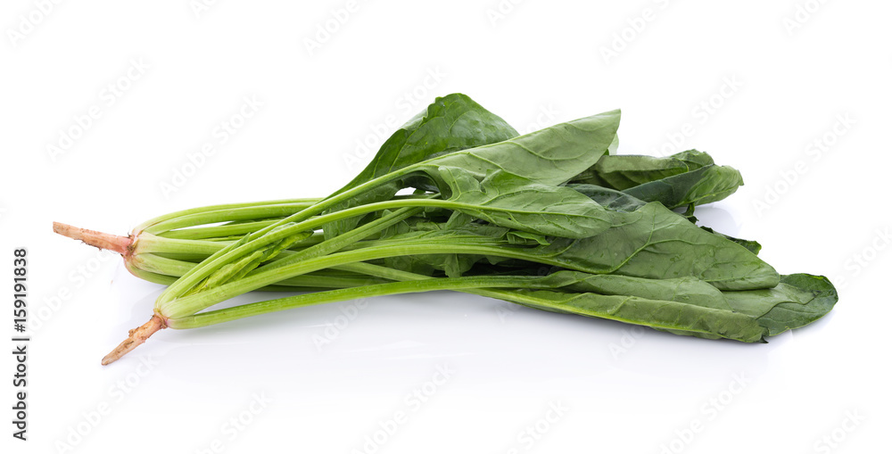 fresh spinach on white background fresh spinach on white background