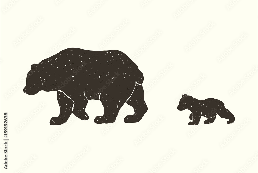 Naklejka premium Niedźwiedzia rodzina