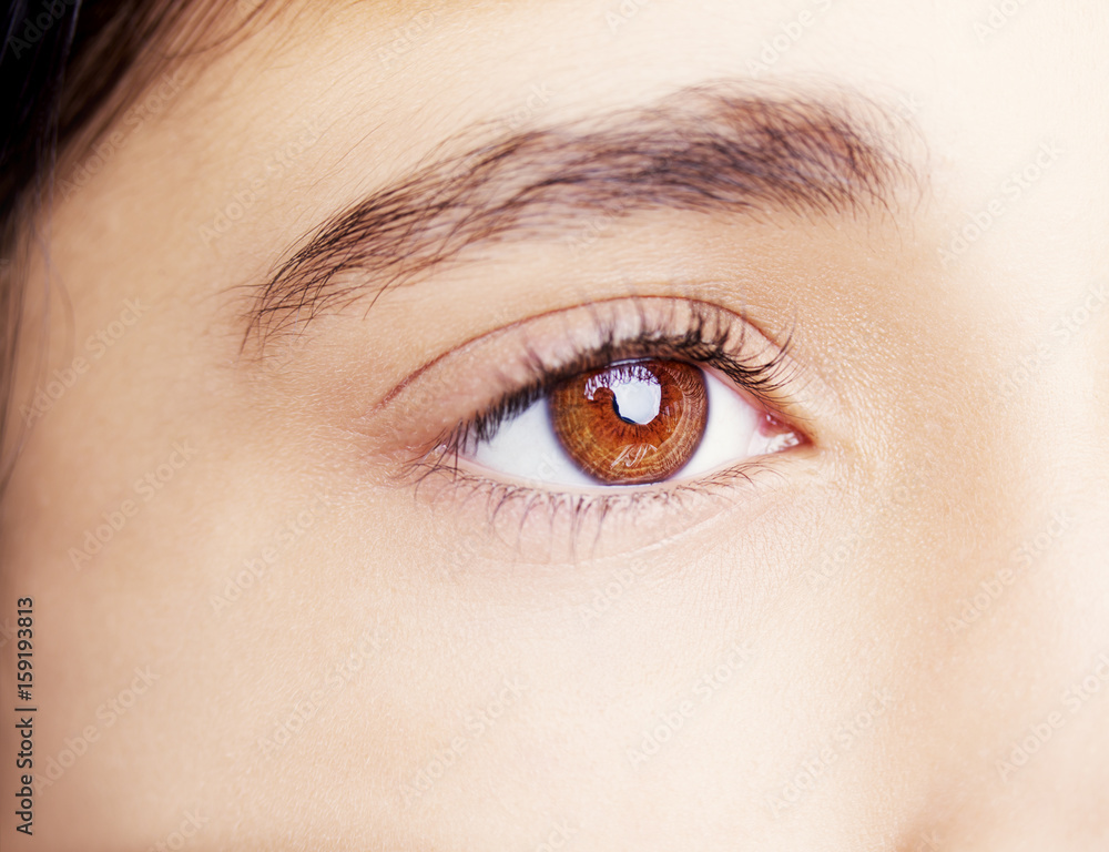 Obraz premium Piękne, wnikliwe spojrzenie. Bliska strzał