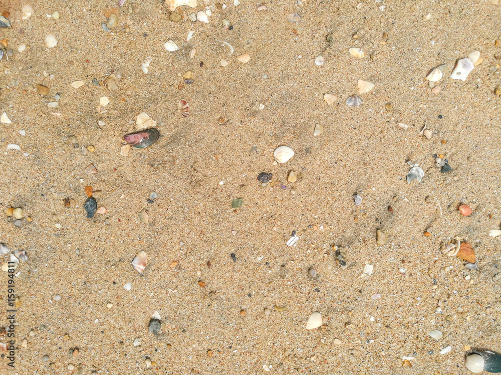 Close up of sand and stones on the beach, textured background. Close up of sand and stones on the beach, textured background.