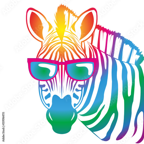 cool Zebra