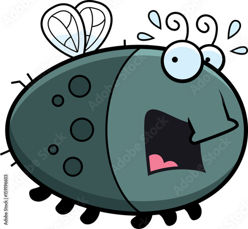 Scared Cartoon Fly