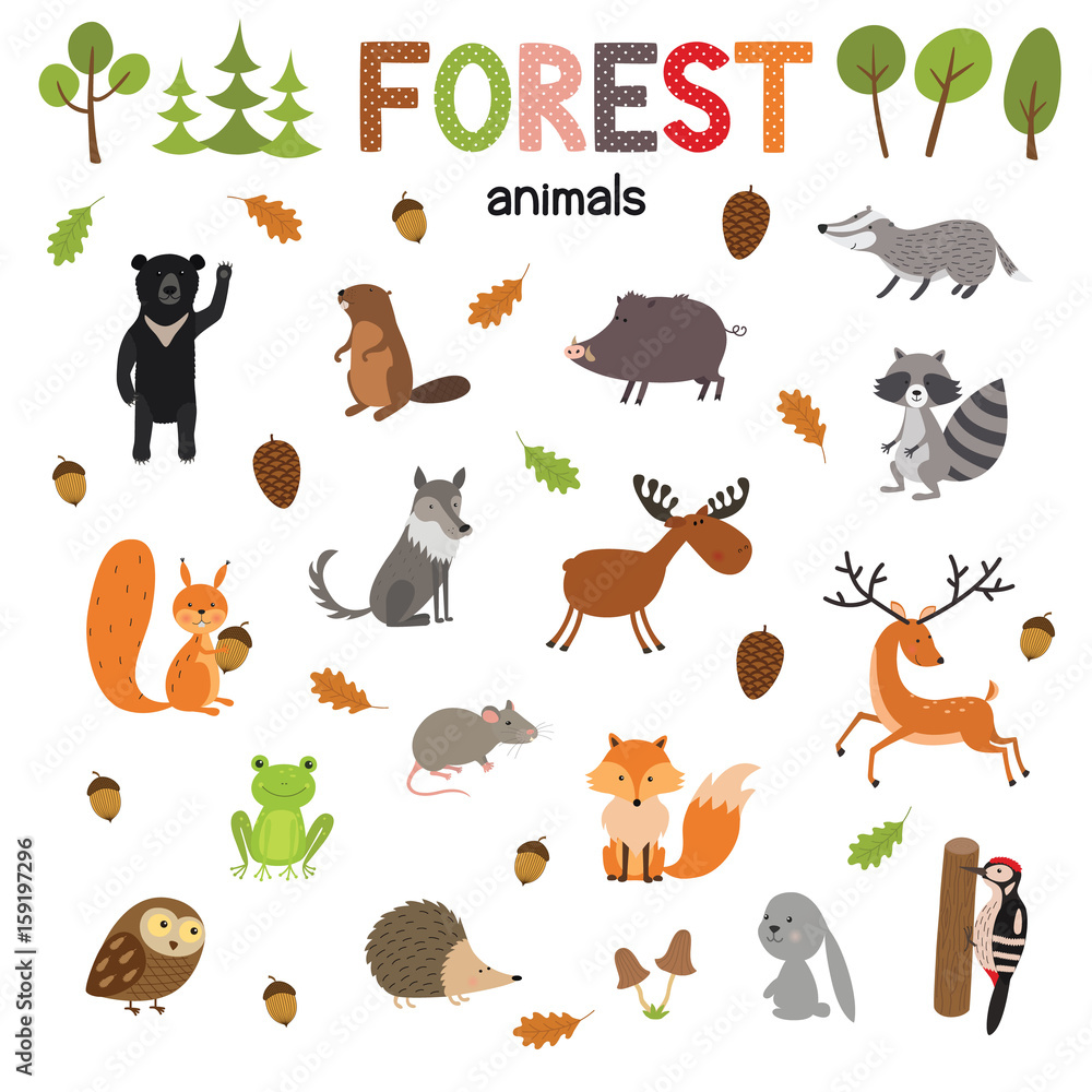 Obraz premium Set of forest animals made in flat style vector. Zoo cartoon collection for children books and posters.