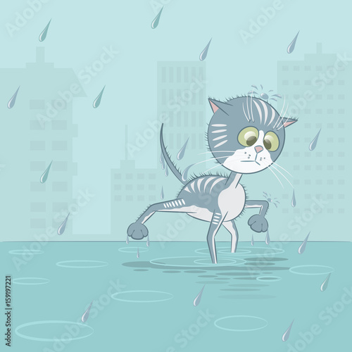 Illustration in the form of a wet cat under the rain photo