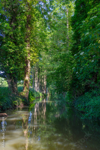 Beuatiful river landscape, river Spree in Germany