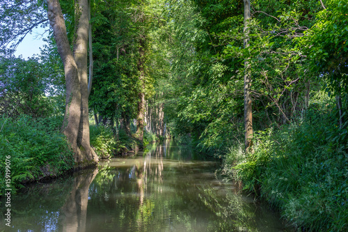 Beuatiful river landscape, river Spree in Germany