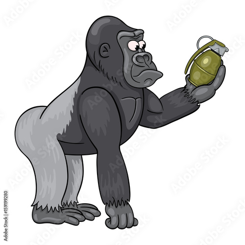 Cartoon male of gorilla  in perplexity is looking at the grenade in his hand. Funny cartoon character