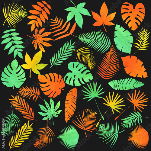 Set of leaves