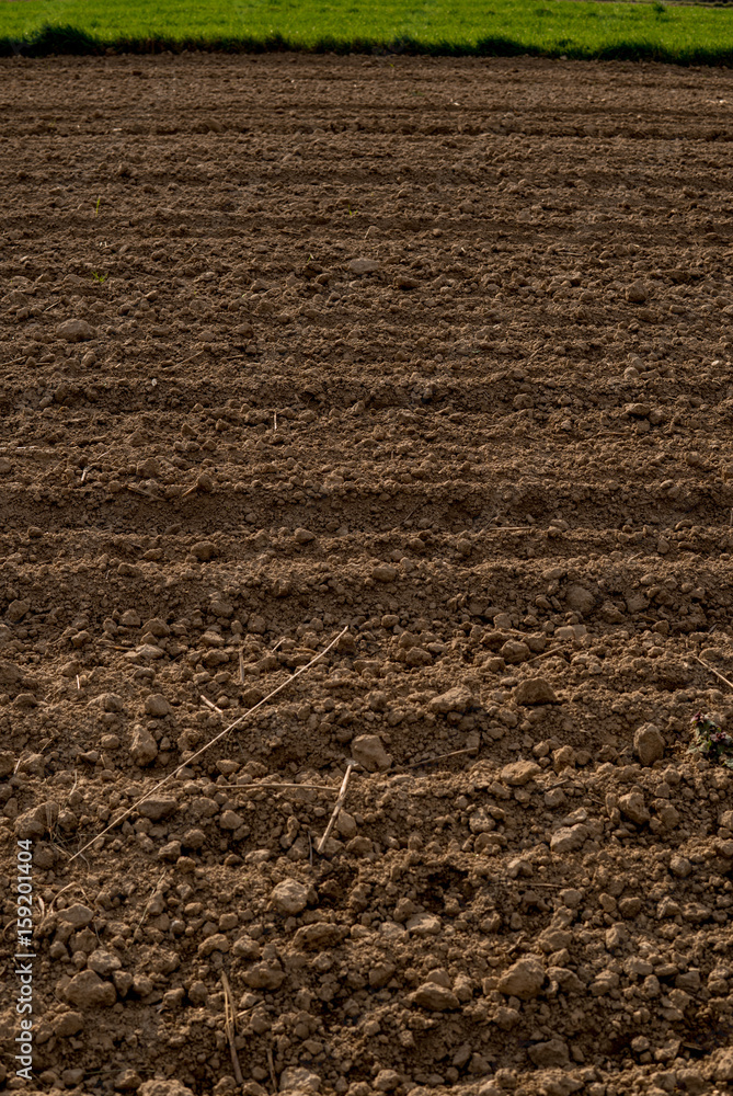 plowed empty field plowed empty field