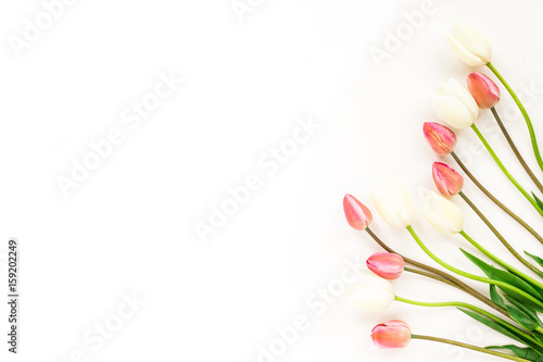 Spring flowers. Beautiful lilac and white tulip flowers, green leaf on whute background. Flat lay, top view