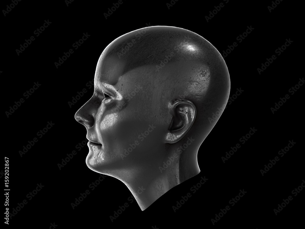 metal human head.3D RENDERING metal human head.3D RENDERING