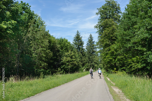 People cycling in the Perlacher Forst