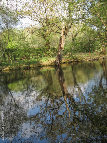 Loire-Atlantique - Parc Naturel Régional de Brière - Kerhinet - Reflets sur l'eau