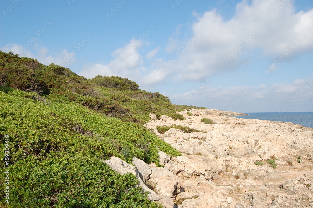 Naklejka premium Mallorca - Sa Coma, Cala Figuera Spanien