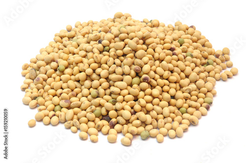 dry soybean isolated on white background