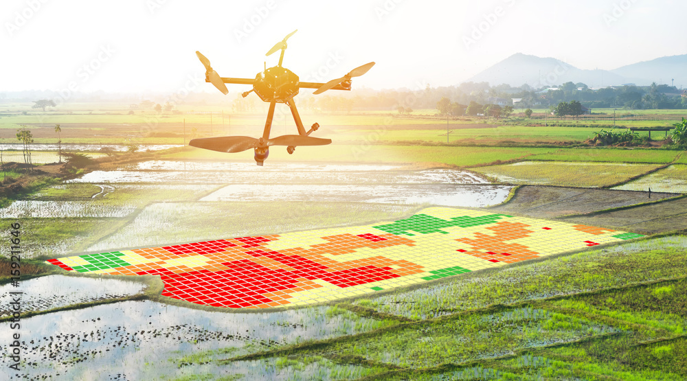 Smart agriculture , farm , precision farming concept. Drone and NIR images  application screen used to create field health maps for normalize  difference vegetation index in field rice with flare light. Photos