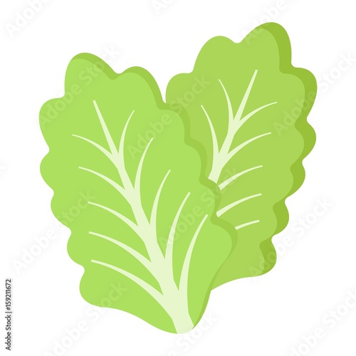 Lettuce flat icon, vegetable and salad leaf, vector graphics, a colorful solid pattern on a white background, eps 10.