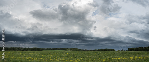 amazing landscape of the beautiful meddow under the stormy sky © Evgeny Govorov