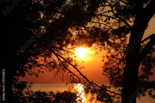 Sonnenuntergang am Meer mit Bäumen