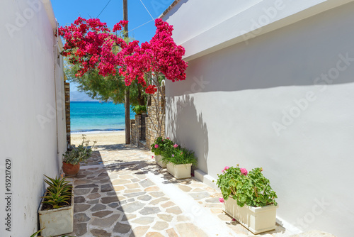 Fototapeta Naklejka Na Ścianę i Meble -  Typical Greek narrow street with summer flowers and view over sea. Naxos island. Cyclades. Greece.