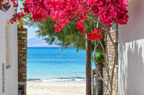 Typowa Grecka wąska ulica z letnimi kwiatami i widokiem na morze Naxos wyspa Cyklady Grecja