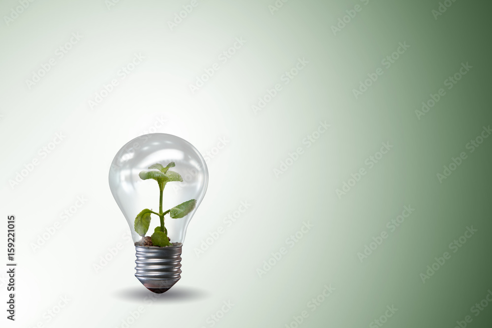 Light bulb in green environment concept - 3d rendering Light bulb in green environment concept - 3d rendering
