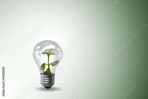 Light bulb in green environment concept - 3d rendering