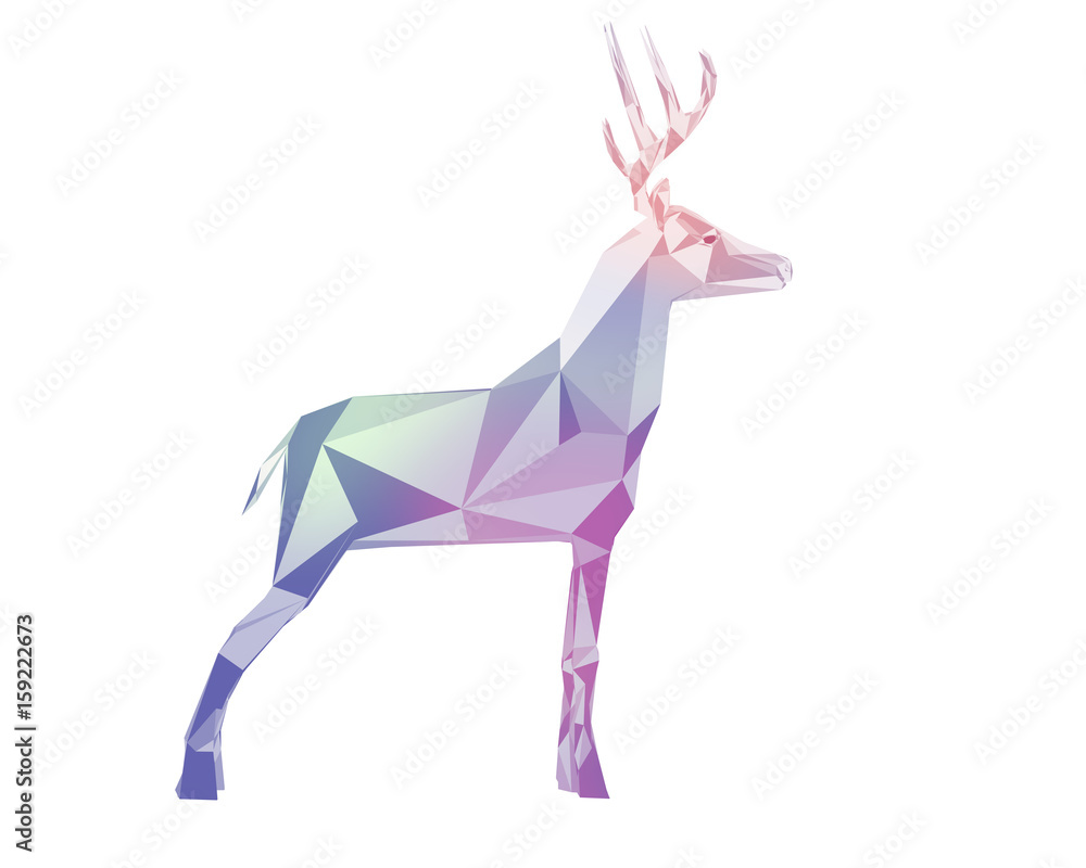 Obraz premium deer