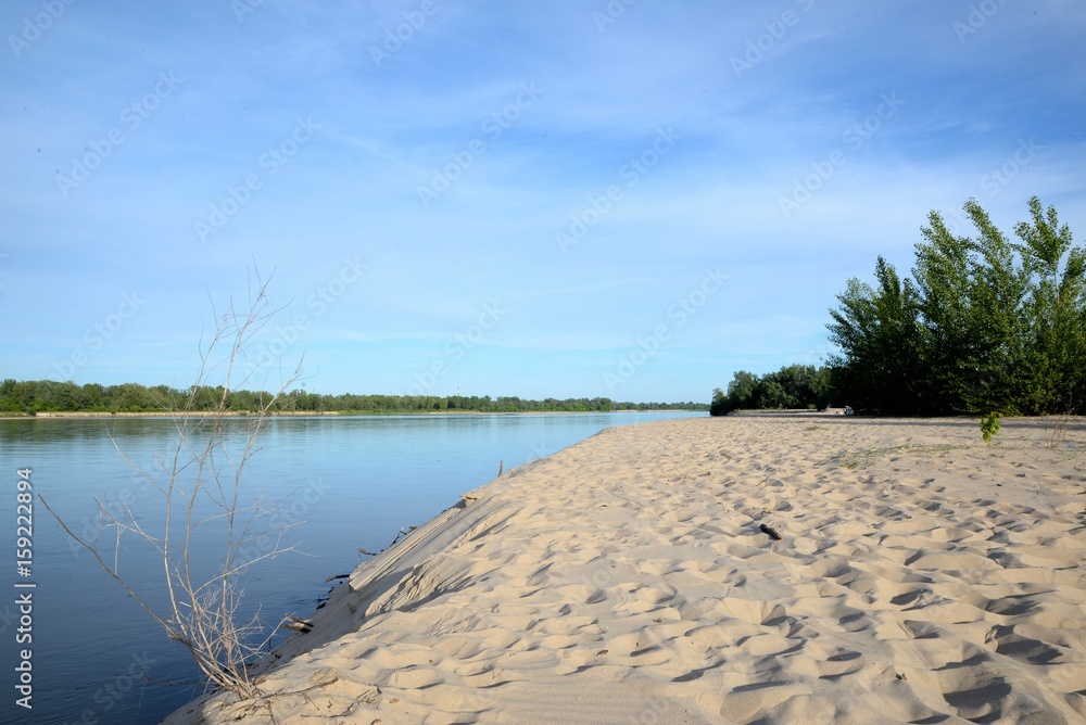 Sandy beach and plants growing on the river bank on a sunny summer day