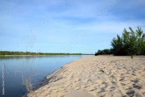Obraz na płótnie Sandy beach and plants growing on the river bank on a sunny summer day w salonie