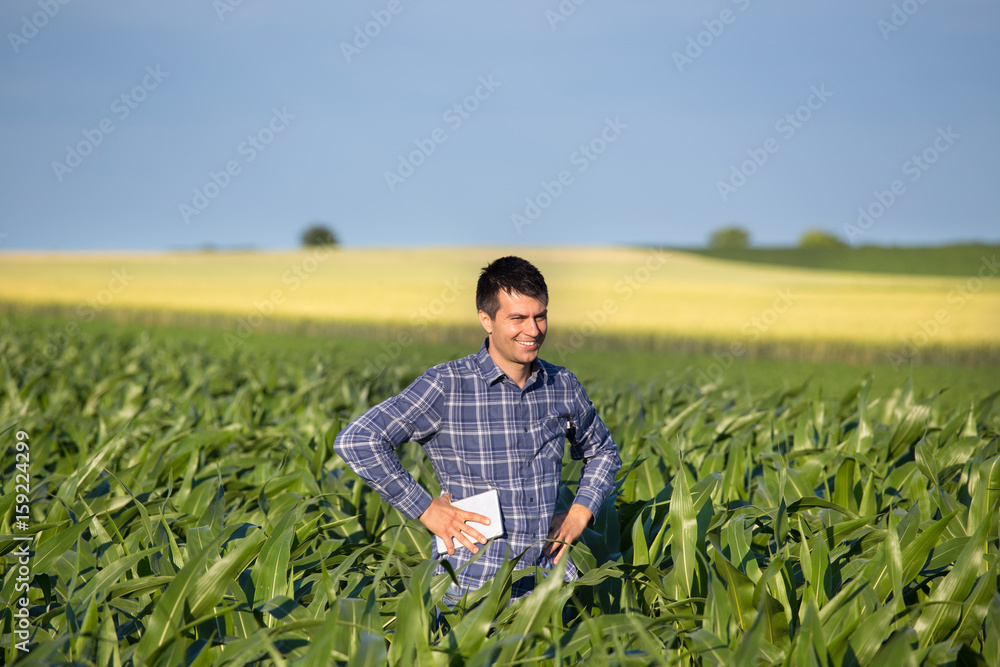 Fototapeta premium Farmer with tablet in corn field