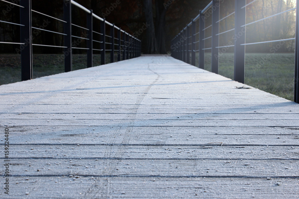 Fototapeta premium Spuren auf dem Weg