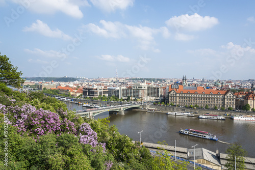 Blooming flowers on Vltava river in Prague. Czech Republic © serg_did