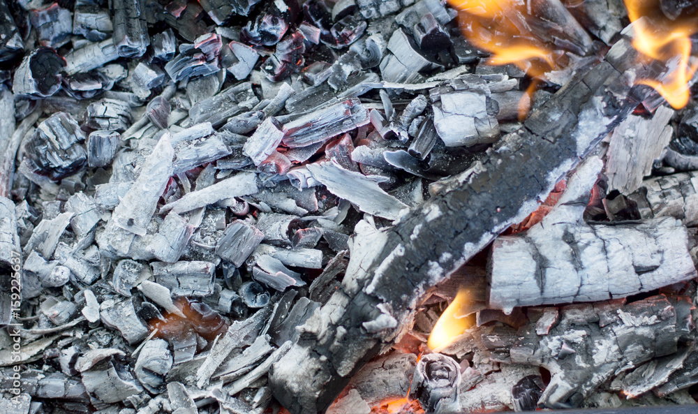 Beautiful burning bonfire in the camp, preparing charcoal for barbecue, natural fuel, abstract natural background Beautiful burning bonfire in the camp, preparing charcoal for barbecue, natural fuel, abstract natural background
