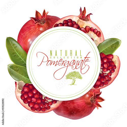 Pomegranate round banner