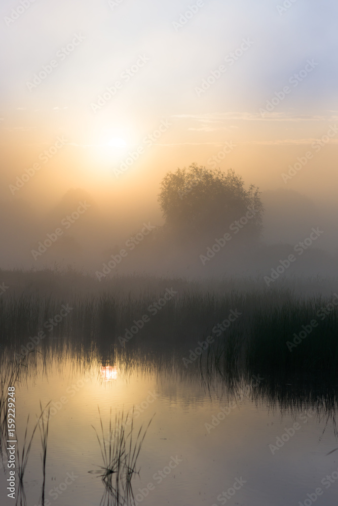 Obraz premium Wschód słońca nad jezi