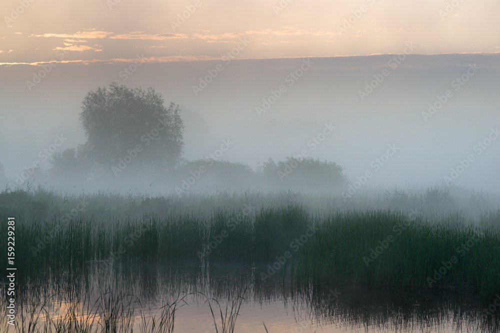 Obraz premium Świt nad wodą