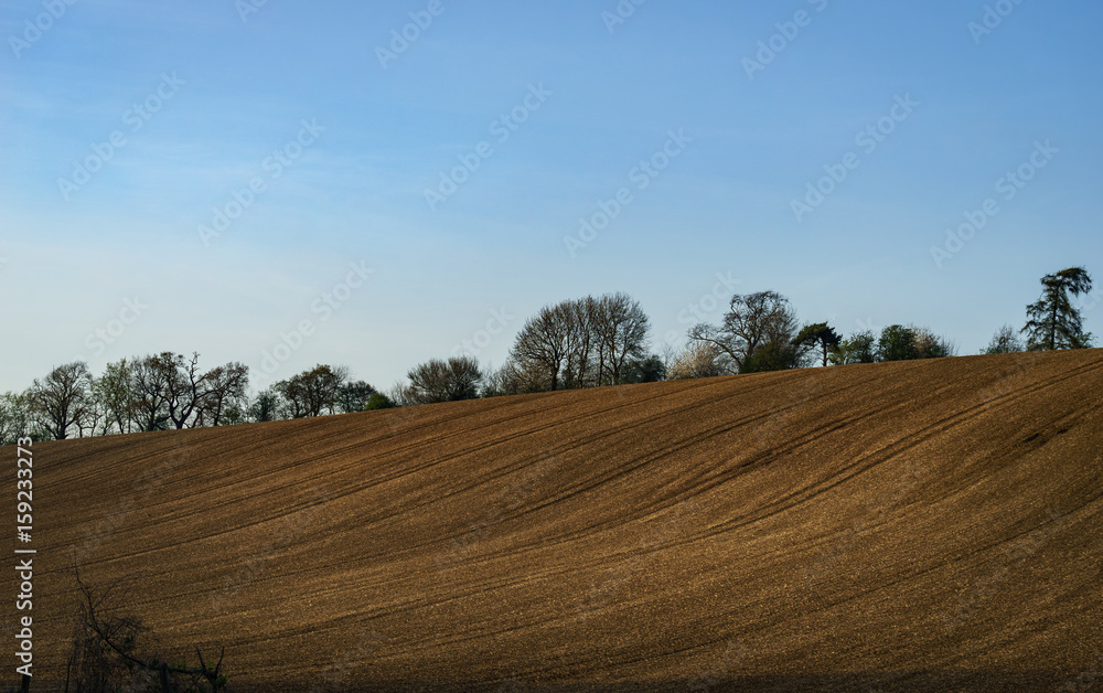 ploughed field