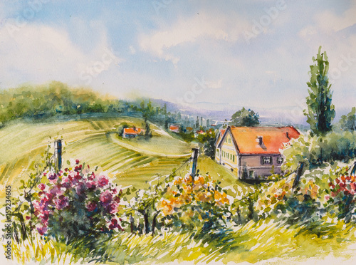 Obraz na płótnie Krajobraz z sommer winnicami i róża krzakami w Południowym Styria, Austria Obrazek tworzył z akwarelami.