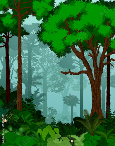 Rainforest vector illustration. Vector Green Tropical Forest jungle